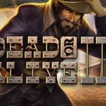 Dead or Alive 2 Review (2026): RTP, Volatility & Free Demo